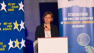palatova:-e-ardhmja-evropiane-e-kosoves-ndertohet-me-reforma-dhe-pergjegjesi