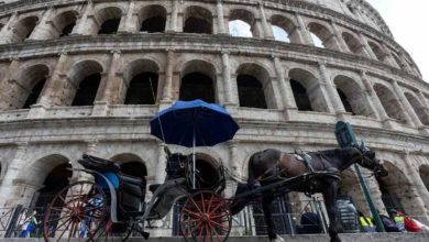 fundi-i-tradites-ne-itali?-kerkohet-ndalimi-i-karrocave-me-kuaj