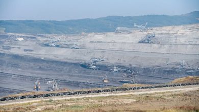 rizvanolli:-kek-do-te-eksportoje-deri-ne-73.2-milione-euro-thengjill-ne-maqedonine-e-veriut