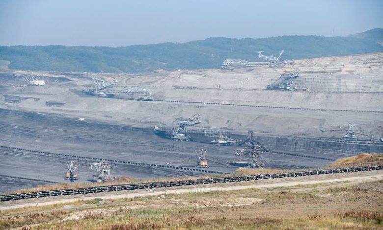rizvanolli:-kek-do-te-eksportoje-deri-ne-73.2-milione-euro-thengjill-ne-maqedonine-e-veriut