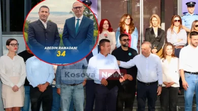 pdk-i-prezantoi-si-“prodhues-vendore”,-por-ne-aksionin-para-qeverise-del-se-ata-jane-militante-te-pdk-se