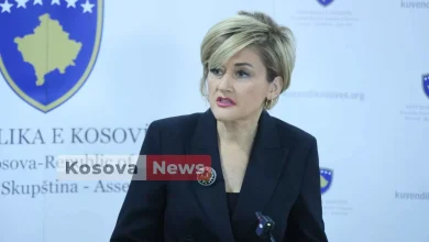 kusari-lila:-6-deputetet-e-ldk-se-e-kane-problemin-me-kurtin,-jo-me-kandidatin-per-president