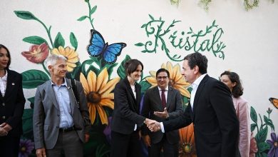 kurti-viziton-shtepine-e-rinovuar-permes-masave-per-eficience-te-energjise