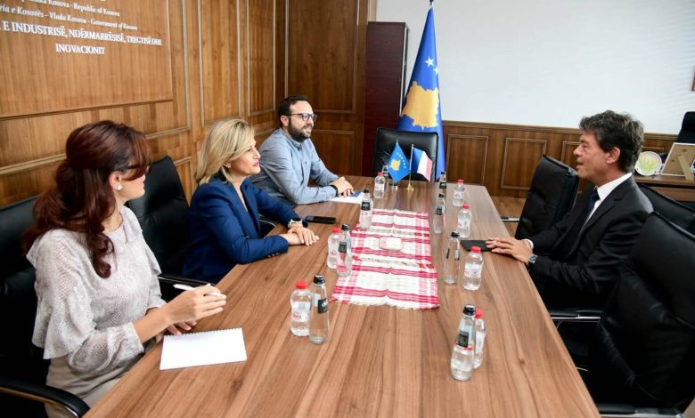 kusari-lila-takon-ambasadorin-e-ri-te-frances,-diskutojne-per-bashkepunimin-ekonomik