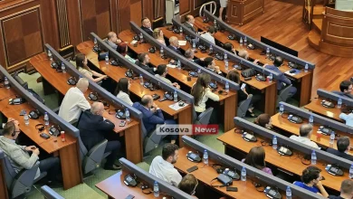 pdk-ja-pershendet-miratimin-e-deklarates:-te-votohen-edhe-plotesim-ndryshimet-e-ligjit-per-specialen