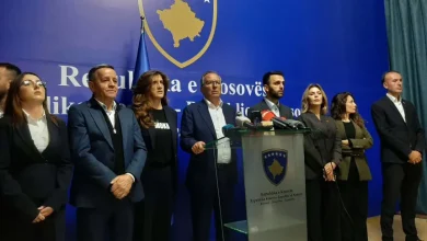 pdk-ja-pranon-shiroka-pulen-per-presidente,-propozon-eliza-hoxhen-kunderkandidate