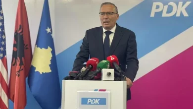 bedri-hamza-jep-doreheqje-te-parevokueshme-nga-kryetari-i-pdk-se