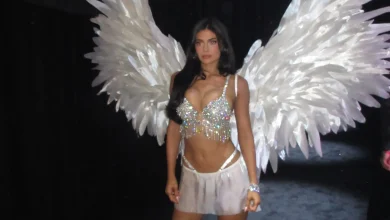 kylie-jenner:-pse-zgjedhja-e-saj-per-‘fantasy-bra’-shkaktoi-polemika?