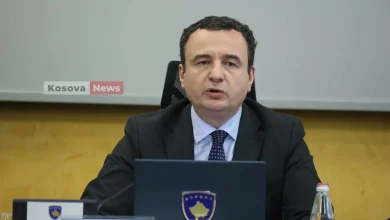 kurti-kerkon-raport-per-leshimet-institucionale-para-vrasjes-se-arlinda-zekajt