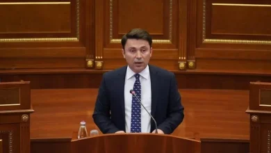 rrustemi:-nisja-e-strategjise-per-apelin-ne-hage,-pergjegjesi-shteterore
